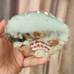 Resin Irregular Coaster Seashell white - Image 4