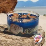 Candle Gel seashell earthscentcandles